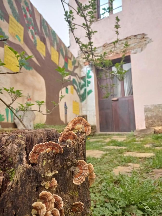 Albergue Eco El Beso - Vegano Тріакастела Екстер'єр фото